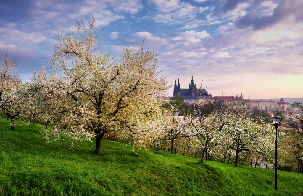 Sunny yard during spring morning at Prague, Czech republic.